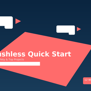 Brushless Quick Start product cover